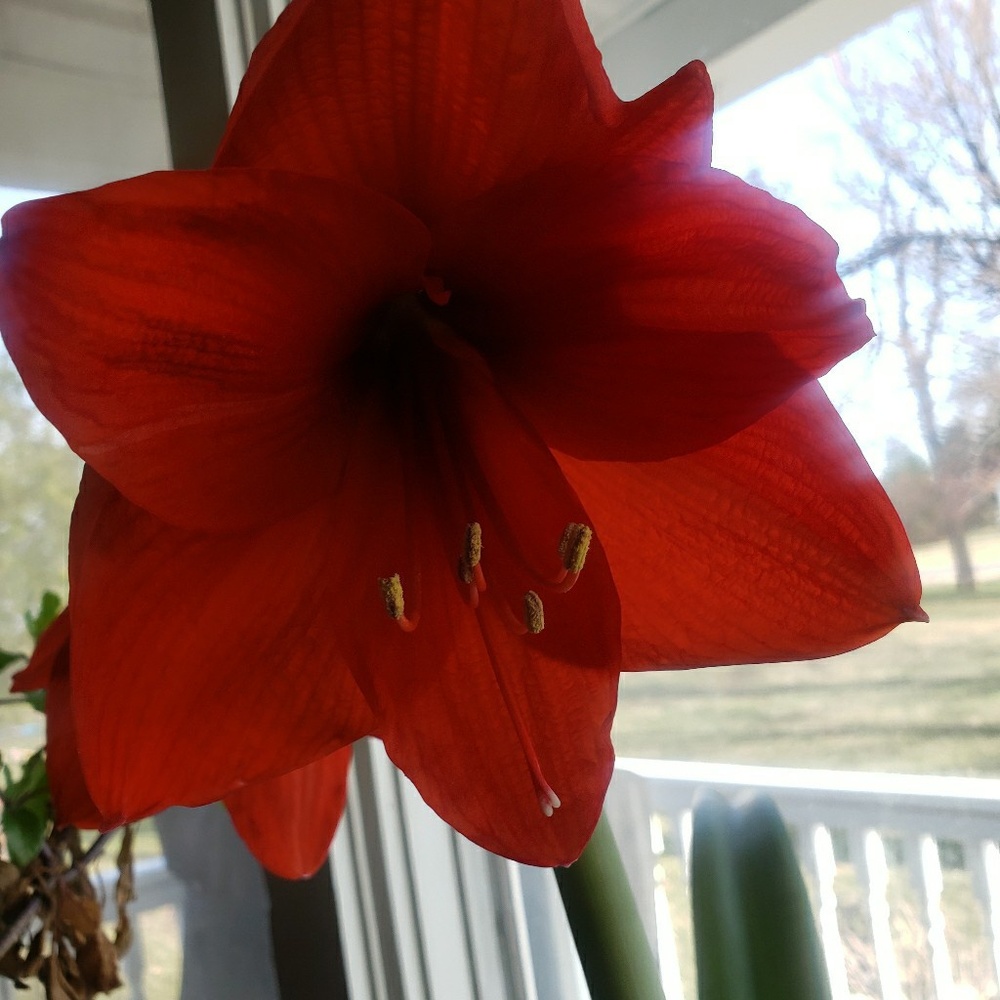 Meet your Posher, Jessy